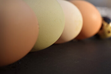 Variety of different colored chicken eggs 