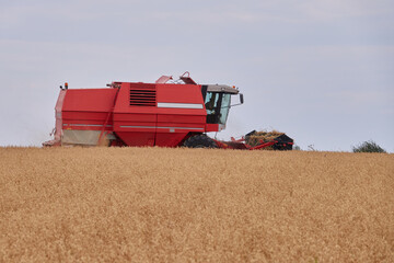 Fototapeta premium Mähdrescher im Ernteeinsatz
