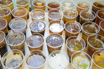 Growing seeds in the laboratory