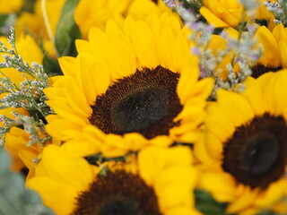 Yellow Sunflower, Statice, Sea lavender, marsh rosemary, brown and dark blue color a bouquet of flowers beautiful, fresh flower, potpourri