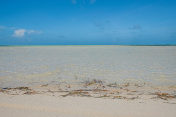 landscape of a turquoise water beach in maldives