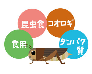 食用コオロギのイラスト