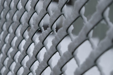 snow on a fence