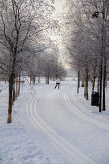 Cross country skiing near the city center in Helsinki, Finland. 