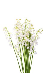 bouquet of lilies of the valley isolated