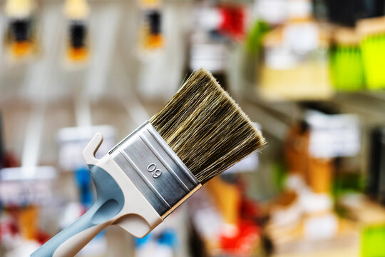 Flat Brush For Oil Paint. We Select Tools For Painting Various Surfaces In A Specialized Store. Foreground. Selective Focus