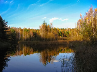 Beautiful autumn landscape with lake behind which the forest in sunny day	