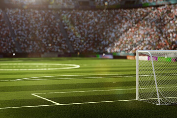 Obraz premium Empty goals of soccer stadium