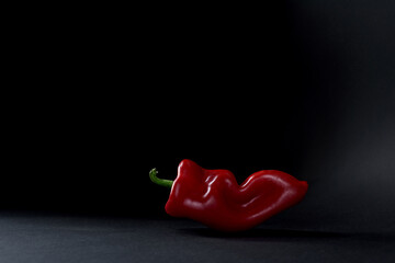 One whole red sweet bell pepper isolated on black background with copy space