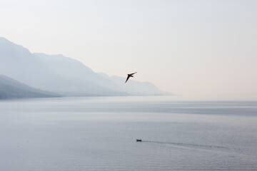 Fototapeta na wymiar Boat ride during sunrise on the sea in the South of Croatia in the summer