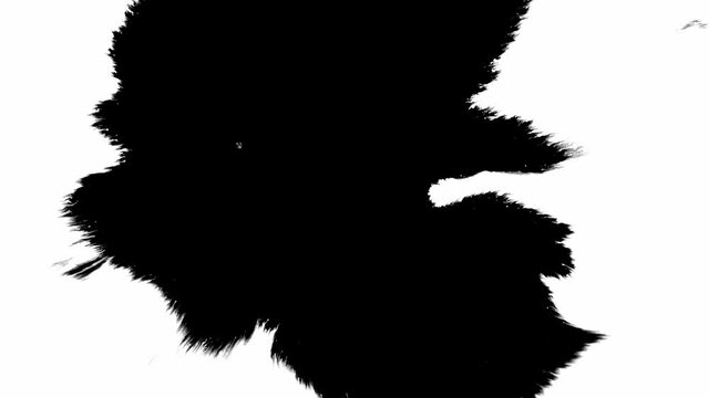 Ink bloom. black ink blots on isolated white background. ink drops transition