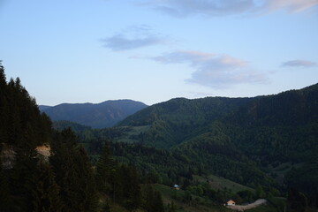 Forested hills with blue sky