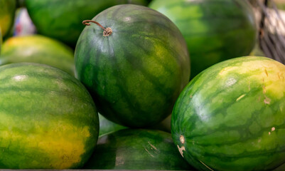Fresh watermelons for sale at a farmers market. Many big sweet green watermelons