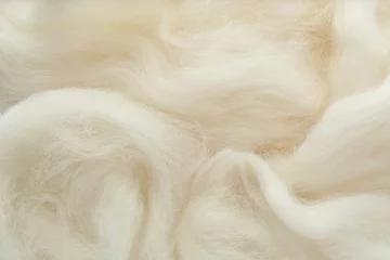 Foto op Aluminium Soft white wool texture as background, closeup © New Africa