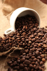 variety of roasted arabica and robusta coffee beans from Indonesia, pouring from a cup