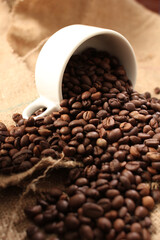 variety of roasted arabica and robusta coffee beans from Indonesia, pouring from a cup