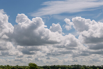 Clouds on a blue sky background with agreen tree border