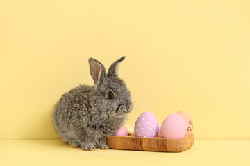 Cute rabbit and Easter eggs on color background