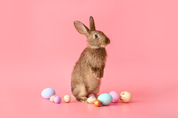 Cute rabbit and Easter eggs on color background