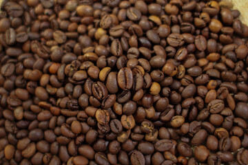 variety of roasted arabica and robusta coffee beans from Indonesia,
