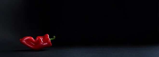 One whole red sweet bell pepper isolated on black background. Banner or panorama with copy space