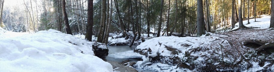 Fototapeta na wymiar Frozen River in the forest