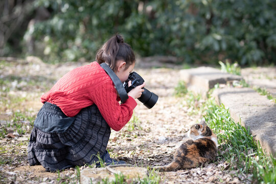 猫の写真を撮影する少女