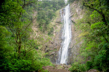 Fototapeta na wymiar Salto Morato waterfall with stone wall in the Atlantic forest of southern Brazil