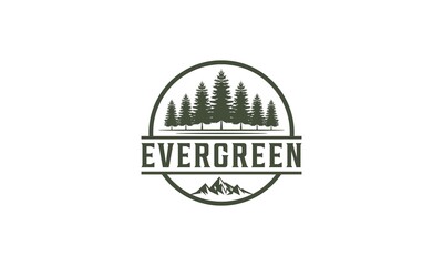 pine evergreen fir hemlock spruce conifer cedar coniferous cypress larch pinus tree forest vintage retro hipster line art Logo design