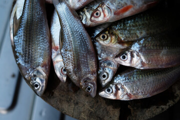 The fish on a wooden cutting board. Ready to cook