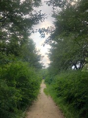 Fototapeta premium Walk Road in Seoul Forest Garden Park