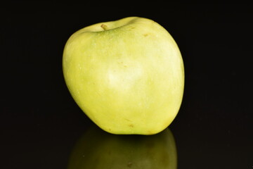 One natural green apple by Renet Simirenko, close-up, isolated on black.