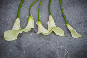 Fototapeten White calla lilies on vintage background  © mnimage