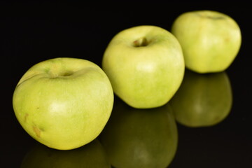 Three organic green apples by Renet Simirenko, close-up, isolated on black.