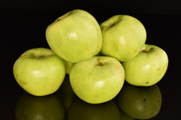 Several natural green apples by Renet Simirenko, close-up, isolated on black.