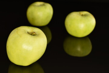 Three organic green apples by Renet Simirenko, close-up, isolated on black.