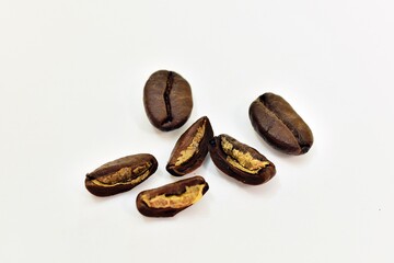 the coffee beans are in haft for learning develop and breeding coffee