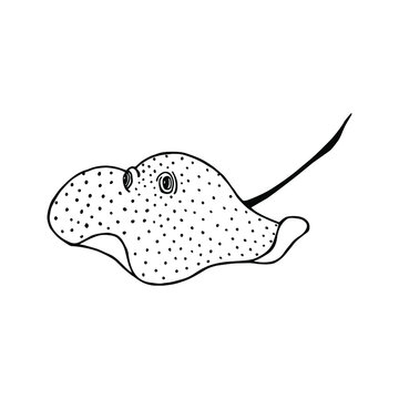 recommend clip art: Electric Stingray is a sea animal. Vector stock illustration eps10. Isolate on white background, outline. Hand drawing. 