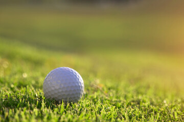 golf ball is on a green lawn in a beautiful golf course