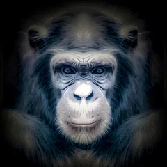 Porträt eines Gorillas in einem Zoo © reznik_val