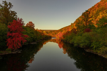 fall colors on the river