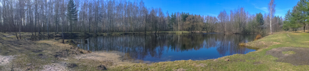 Fototapeta na wymiar Beautiful panorama of the lake in the forest in early spring