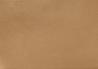 camel leather texture, natural pores skin