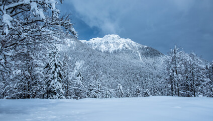 Trekking after a snowfall in the Julian Alps, Friuli-Venezia Giulia, Italy