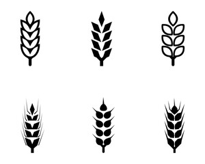 black abstract wheat ears hand drawn set.