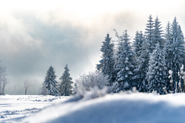 Góry Beskidu zimową porą
