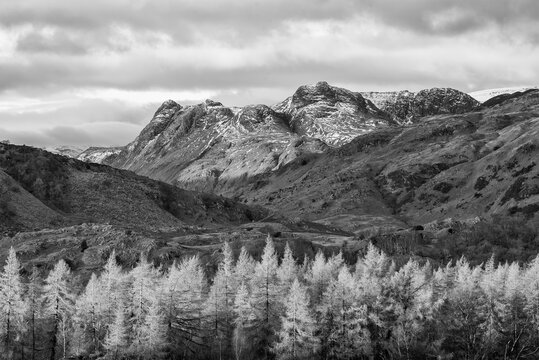 Majestic Winter  black and white landscape image view from Holme Fell in Lake District towards snow capped mountain ranges in distance in glorious evening light with Autumnal colors trees
