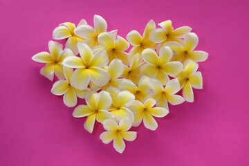 Fresh heart shaped bouquet. Heart from tropical flowers on  pink background. Top view.
