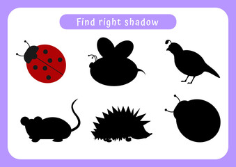 Worksheet find right shadow. Educational game for children. Trains attention and concentration.