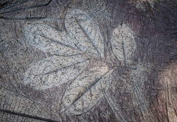 Close-up of modern leaf pattern design concrete floor. Use to decorate on the walkway in the garden. Texture backgrounds.